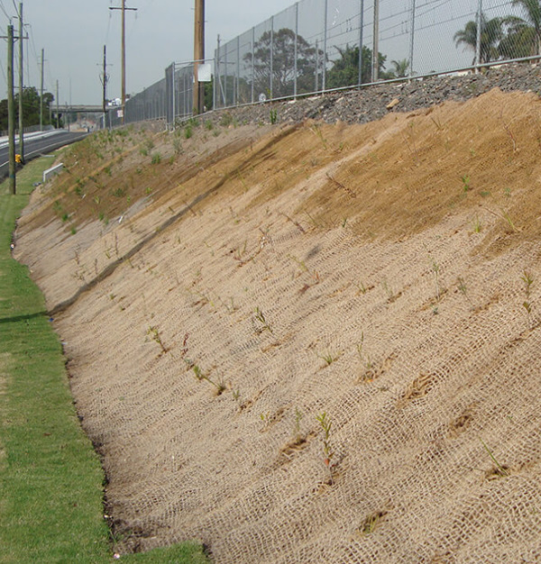 Coir Geotextile Net