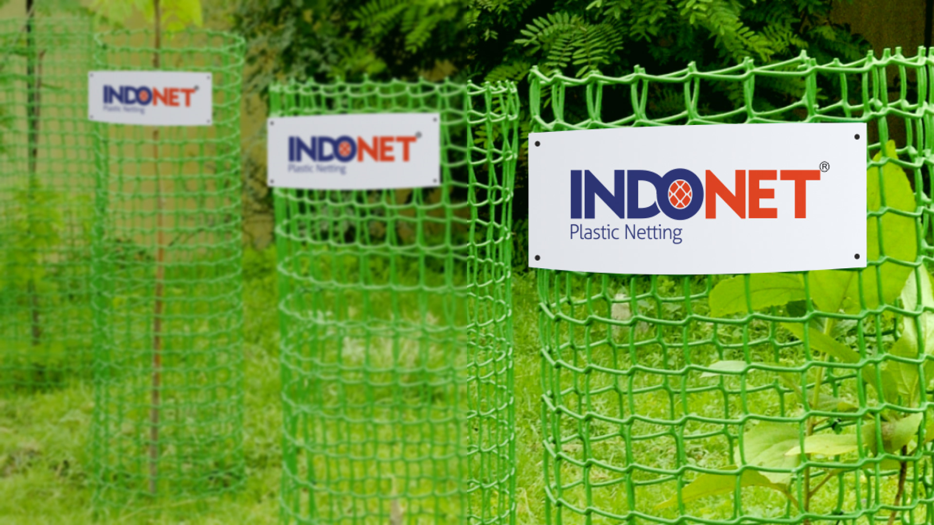 How to Keep Young Trees Healthy with Tree Guards