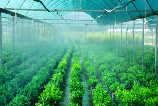 agricultural shade net installed in a greenhouse to regulate sunlight