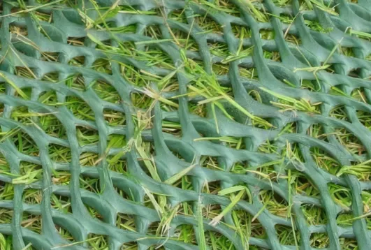 indonet grass reinforcement mesh installed on a lawn