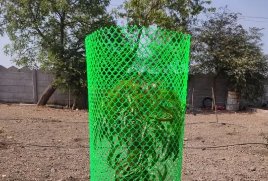 Green hexagonal tree guard protecting a young plant in an outdoor, rural setting with trees and a boundary wall in the background.